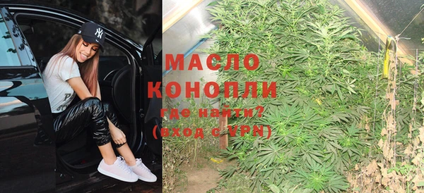 молекула духа Коряжма